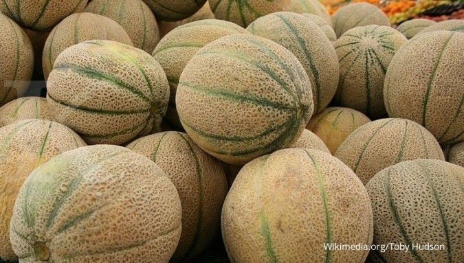 Kemtan menutup keran impor buah rock melon asal Australia