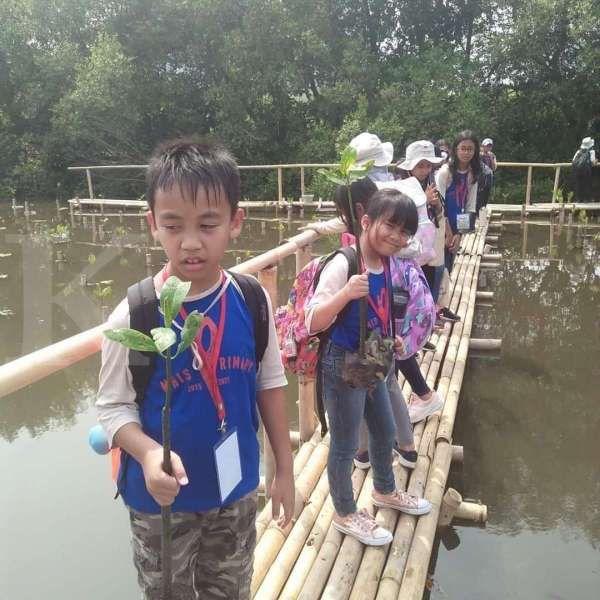 Kabar baik! Taman Wisata Alam Mangrove Angke Kapuk kembali dibuka untuk umum