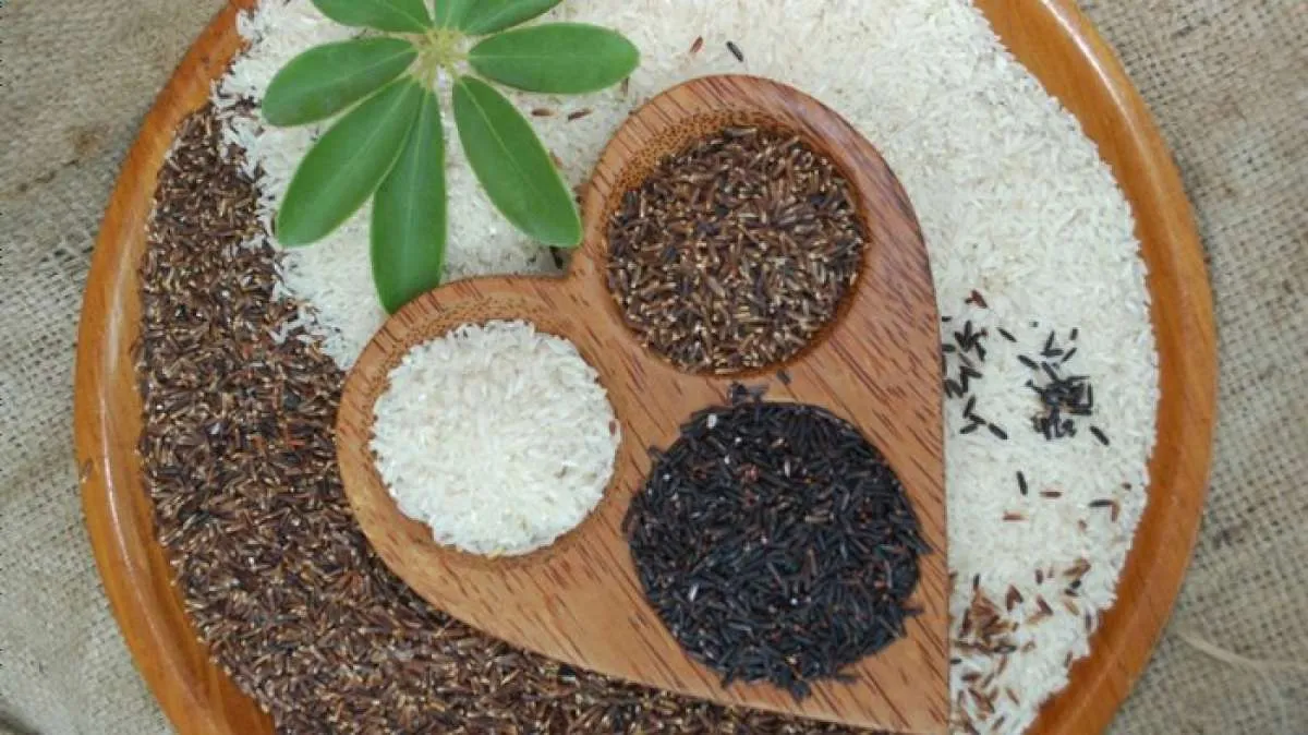 Ini Jenis Beras yang Aman dan Baik Dikonsumsi saat Menurunkan Berat Badan