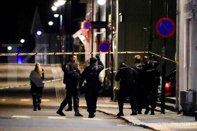 Bersenjatakan busur dan anak panah, seorang pria tewaskan 5 orang di Norwegia