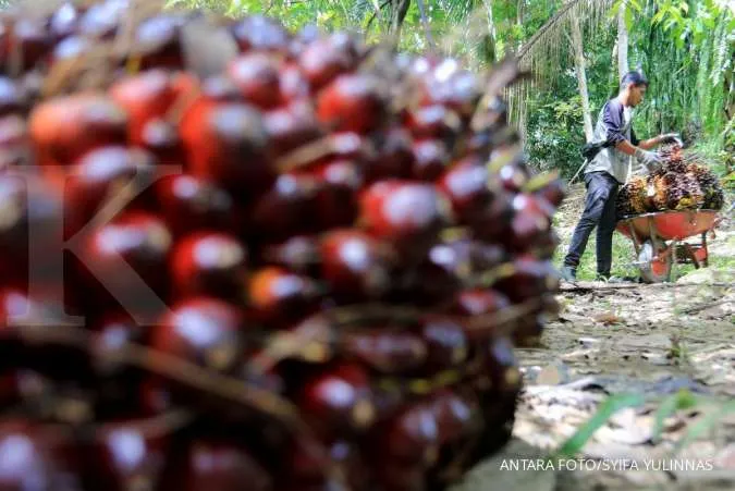 Indonesia Export Ban Traps 290,000 Tonnes of Palm Oil Shipments for India