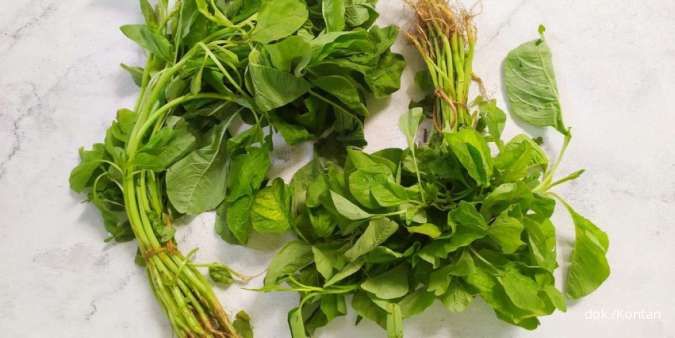 7 Alasan Bayam Sayuran Hijau Terbaik untuk Dikonsumsi