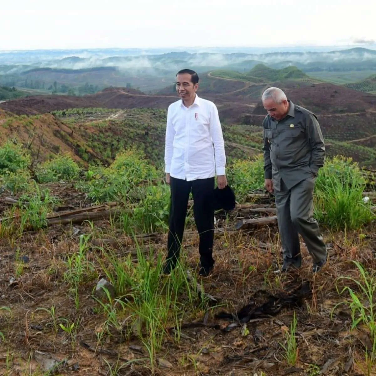 Jokowi: Anggaran pemerintah untuk pembangunan ibu kota tak lebih Rp 100 triliun