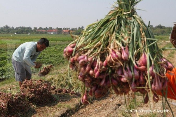 Kemtan bantah impor bawang merah 