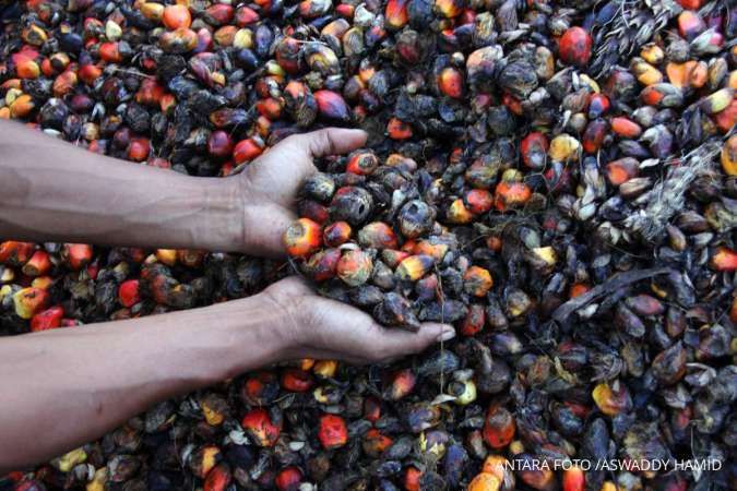 Wamentan Minta Industri Sawit Mengacu pada Harga Lelang, DSI Mulai Masa Transisi Juni