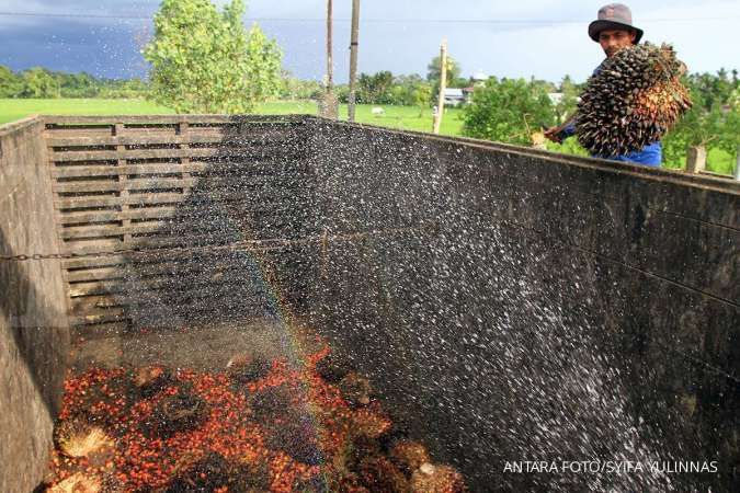 Produsen Minyak Kelapa Sawit Dongkrak Produksi, Harga CPO Kembali Melandai