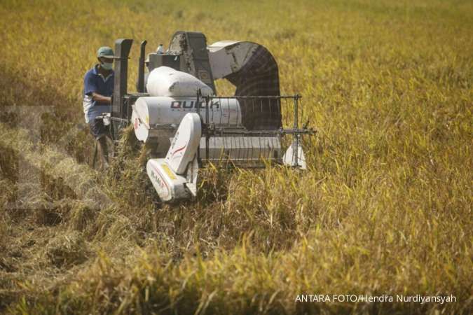 Sektor pertanian dinilai bisa jadi andalan ekonomi di tengah wabah corona