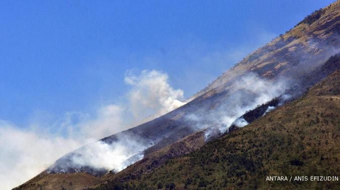 Kemenhut temukan 20.850 titik kebakaran hutan