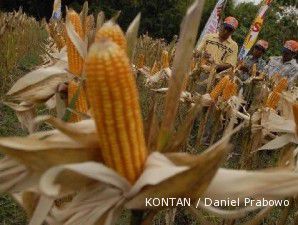Plafon Kredit Ketahanan Pangan Bertambah Rp 440 Milia