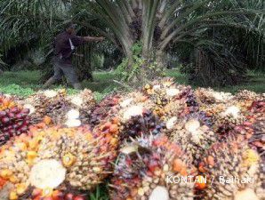 CPO rebound dari level terendah delapan bulan