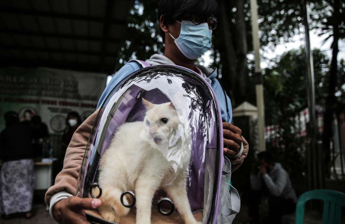 Vaksinasi antirabies bagi hewan peliharaan warga Jakarta