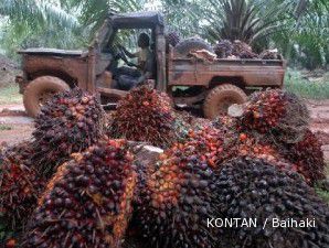 Cuaca buruk mendorong harga CPO melaju