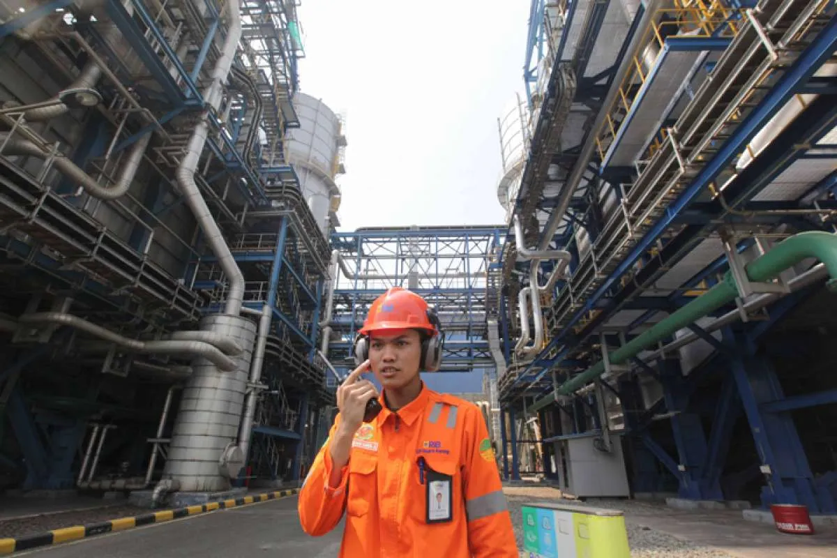 PLN minta patokan harga untuk kelistrikan US$ 70 per ton bisa diperpanjang