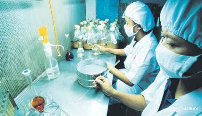 Prospek ekspor tepung tapioka Budi Starch & Sweetener (BUDI) masih menjanjikan
