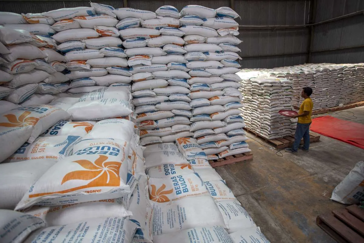 Produksi Beras Anjlok, Harga Beras Berpotensi Naik Akhir Tahun Nanti