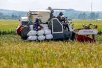 Minim Informasi, Petani Tidak Tahu HPP Baru