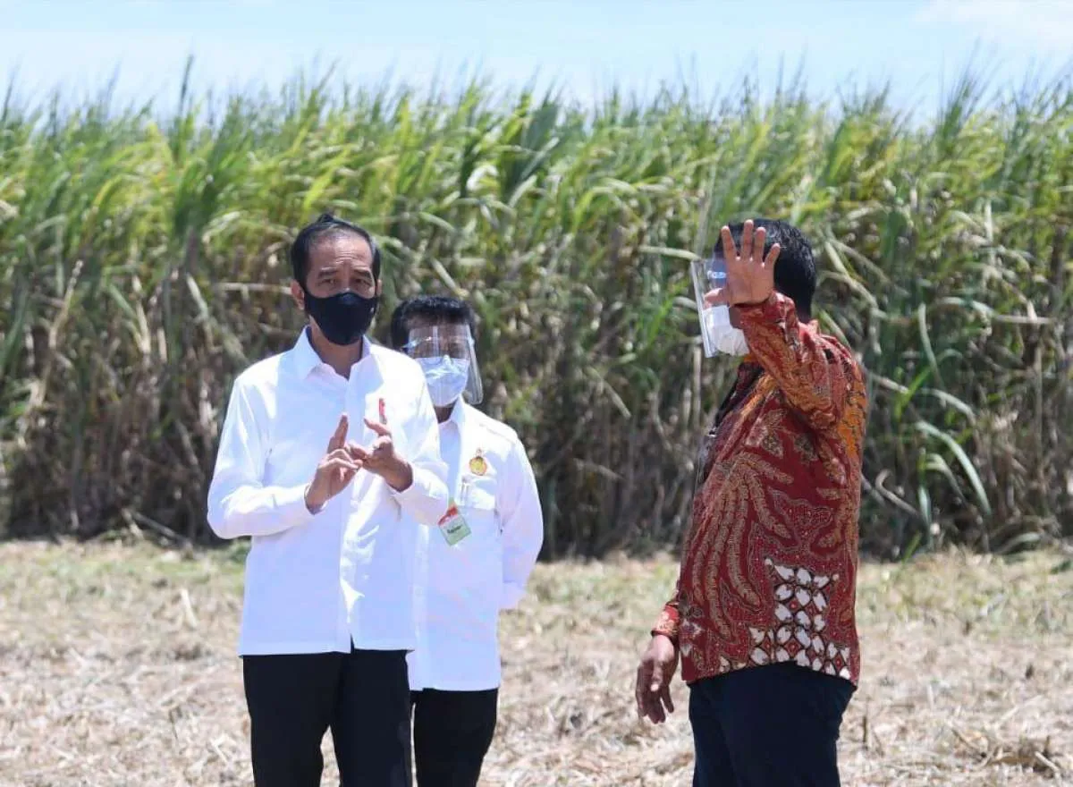 Wujudkan Swasembada Gula, Pemerintah Siapkan Lahan 700.000 Hektare