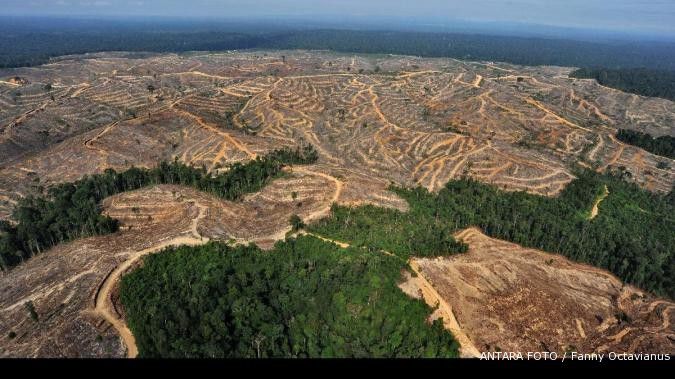 Kemhut tolak ratusan ribu hektar izin usaha hutan