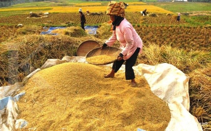 Bisnis penggilingan padi skala kecil meredup