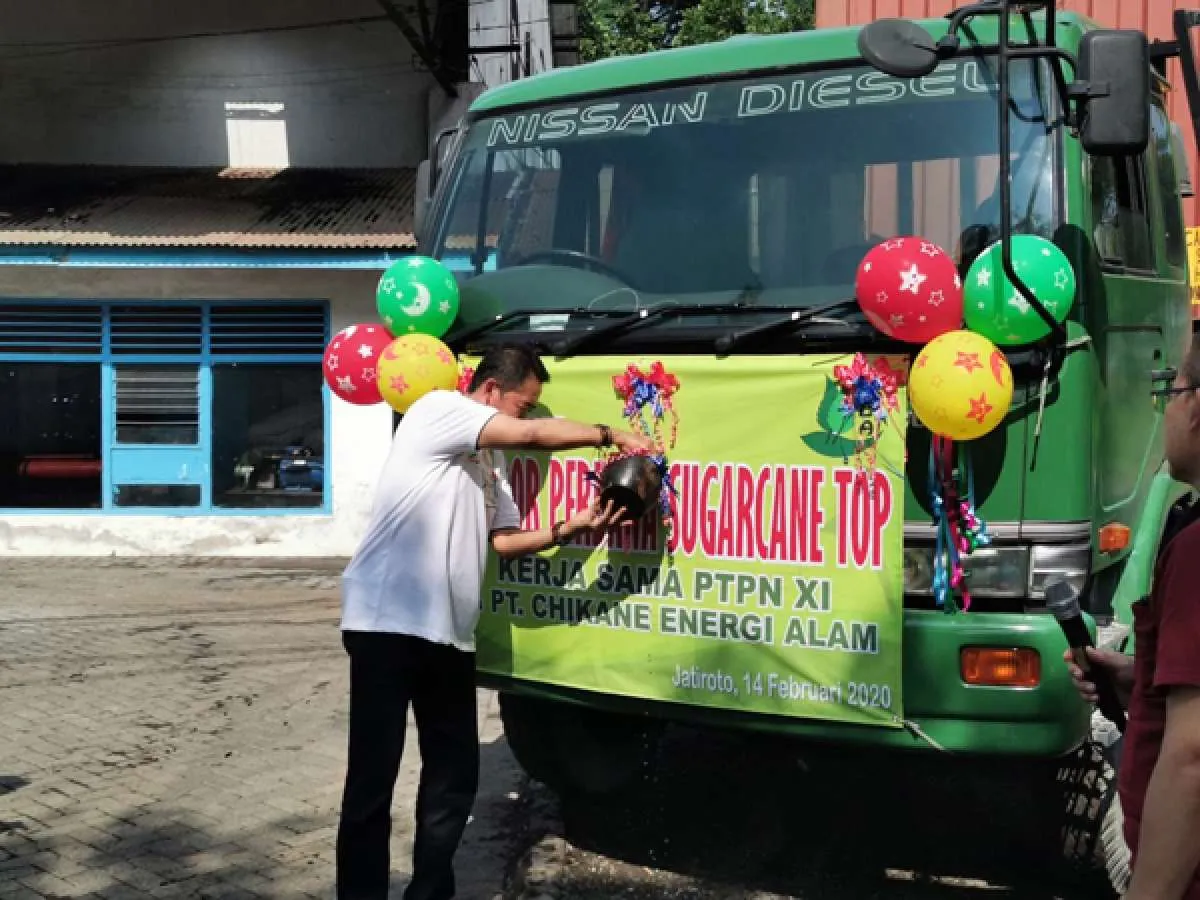 PTPN XI ekspor perdana daduk sugar cane top (SCT) ke Jepang