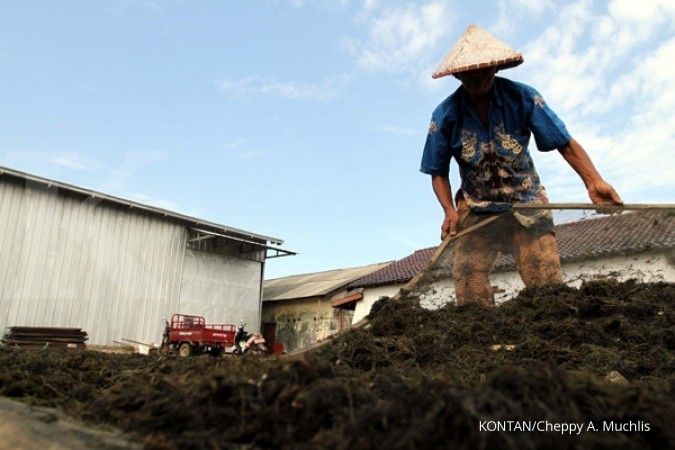 KKP siapkan kebun bibit rumput laut di 22 kawasan