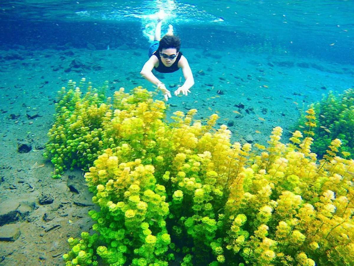 Bromo Kebakaran, Ini 5 Wisata Alam di Malang yang Bisa Didatangi Selain Bromo