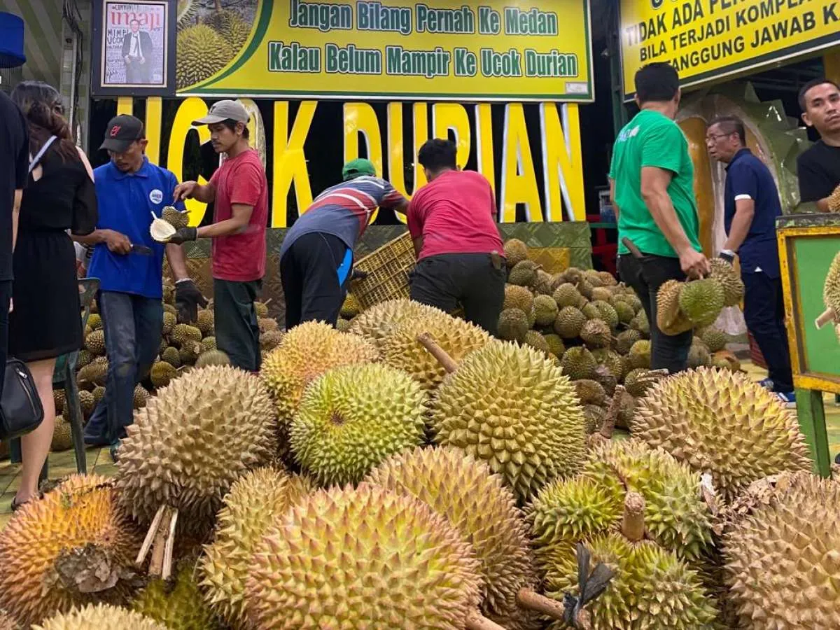 Wangi Cuan Ucok Durian Berkat Durian Sumatra