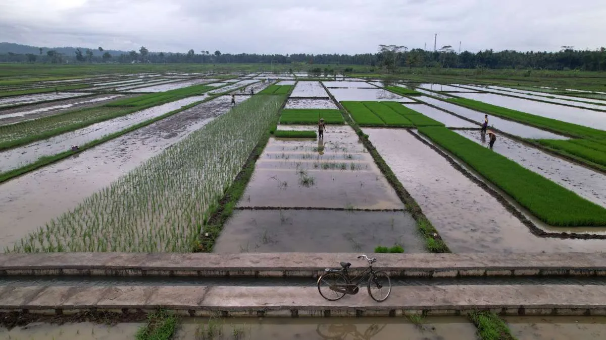 Klaster Batik Megulung Kidul Rasakan Manfaat Desa BRILiaN dari BRI