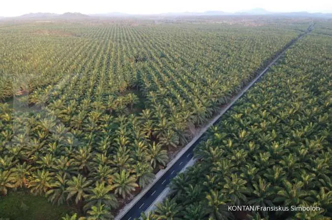 Indonesia palm oil deforestation exposing firms to $10 bln of risks - study