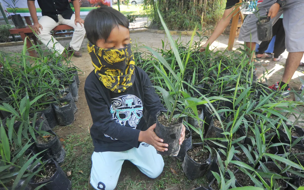 Selain ganja, inilah daftar tanaman obat rekomendasi Kemtan