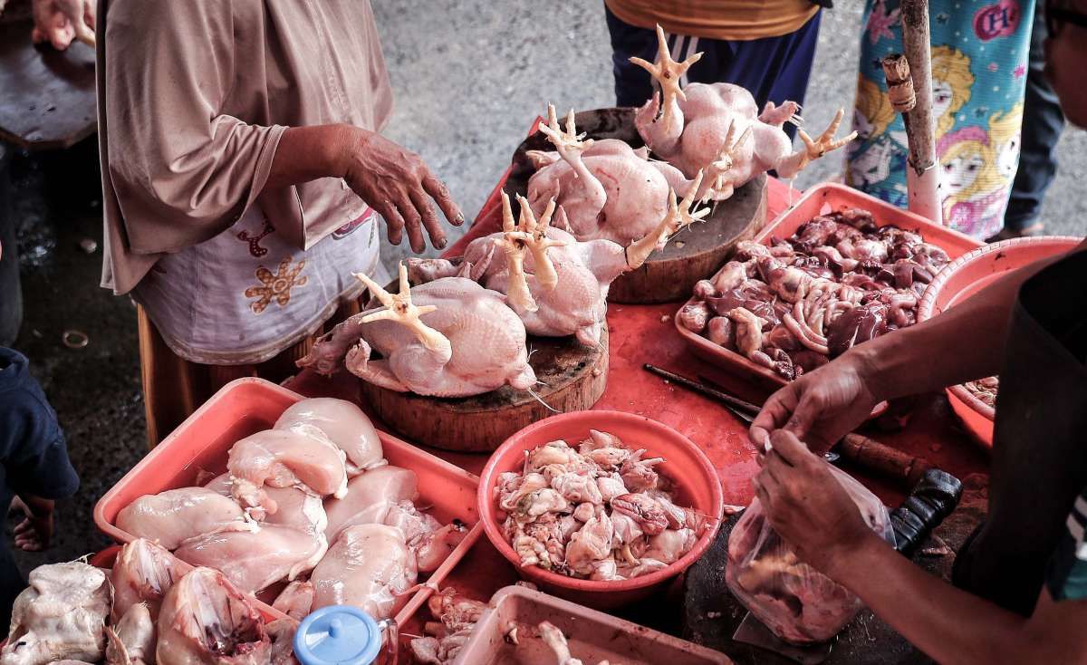 Strategi Pemprov DKI Hadapi Mahalnya Harga Ayam