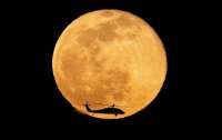 Apa Itu Sturgeon Moon? Ini Sejarah Bulan Purnama pada 9 Agustus dan Cara Melihatnya