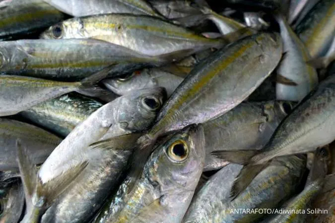 Daftar ikan segar