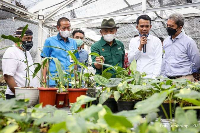 Potensi capai Rp 3.000 T, Teten Masduki dukung Minaqu garap pasar tanaman hias
