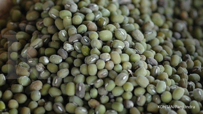 Indonesia Mengekspor 1.000 Ton Kacang Hijau ke China, Nilainya Rp 16,8 Miliar