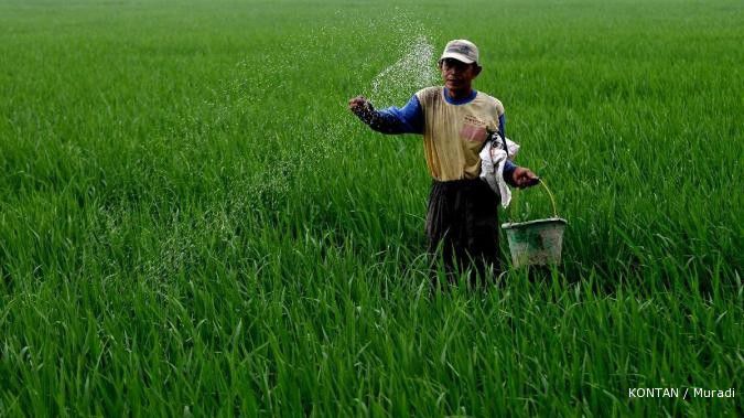 Pemerintah pertimbangkan insentif food estate