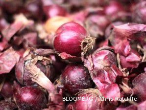 Harga bawang merah masih akan tinggi hingga memasuki masa panen