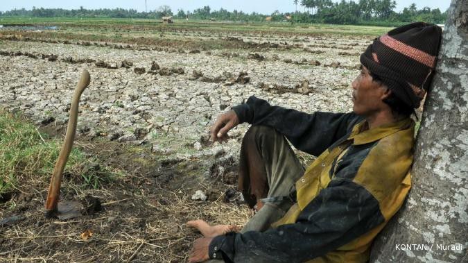 Kekeringan melanda 120.000 ha sawah