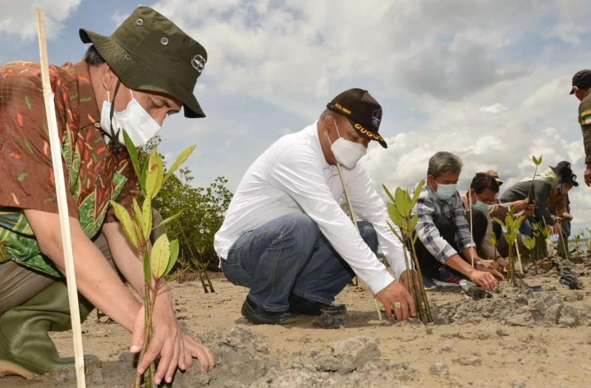 BRGM sebut realisasi penanaman rehabilitasi mangrove baru 1.103 ha hingga Mei