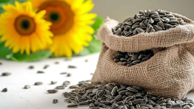 11 Manfaat Makan Biji Bunga Matahari Setiap Hari bagi Kesehatan Tubuh