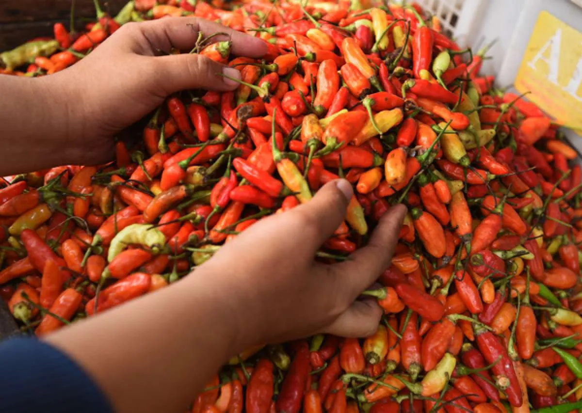 BI proyeksi inflasi bulan Juli 2021 sebesar 0,01%