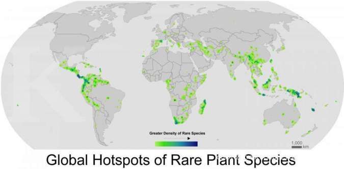 Sekitar 40% spesies tanaman langka terancam punah akibat perubahan iklim