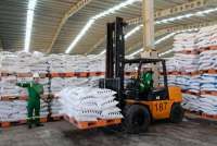 Petrokimia Gresik catat kinerja positif selama 2020