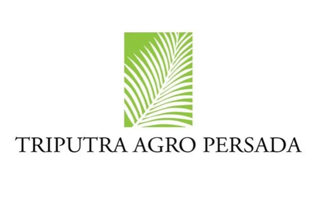Kinerja Semester I 2022 Ciamik, Ini Rekomendasi Saham Triputra Agro Persada (TAGP)