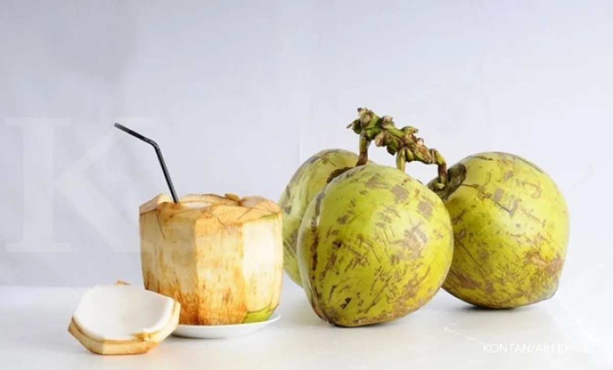 Kaya Antioksidan, Catat Manfaat Buah Kelapa untuk Tubuh