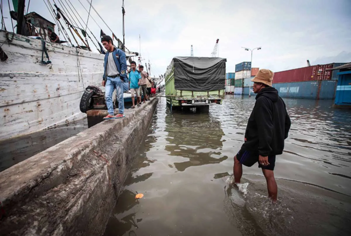 Waspada Banjir Rob Intai Wilayah Pesisir Indonesia, Jakarta Termasuk! 