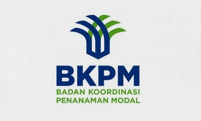 Indonesia's FDI Drop 6.95% Year on Year in Second Quarter, Biggest Fall Since 2020