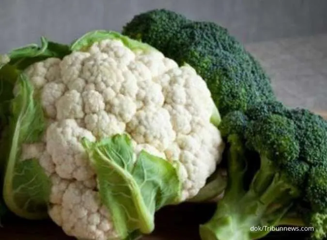 Sudah Tahu Manfaat Brokoli Untuk Kesehatan Tubuh? Cek Yuk!