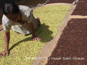 Cuaca susutkan produksi cengkeh