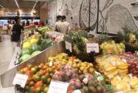 Supra Boga Lestari (RANC) Catat Rugi 83,67 Miliar pada 2022